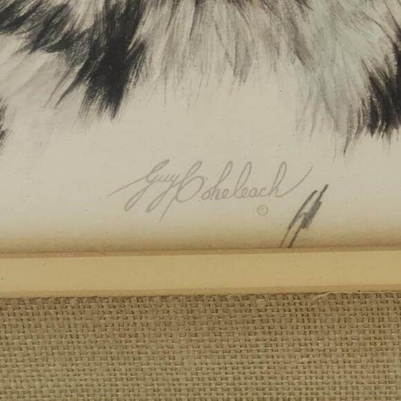 Guy Coheleach Bobcat Lithograph Signed in Green Wood Frame – Vintage - Picture 4 of 9